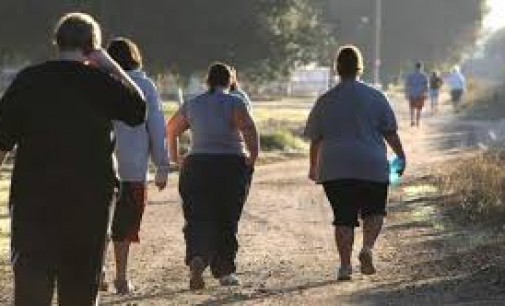 L’obésité, la France de plus en plus ronde